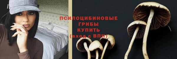 трава Снежногорск