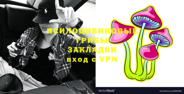 крисы Зеленодольск