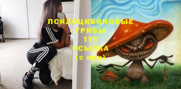 МДПВ Зерноград