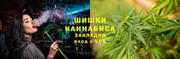 крисы Зеленодольск