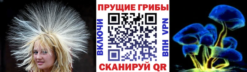 Псилоцибиновые грибы MAGIC MUSHROOMS  MEGA вход  Судак 